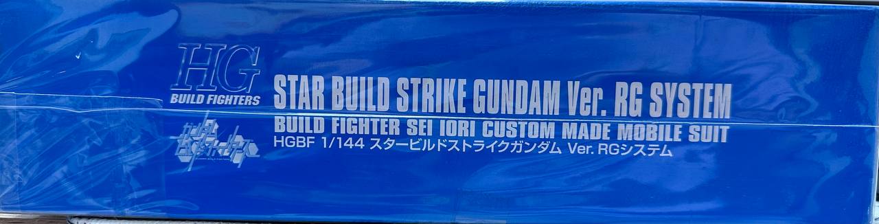 [HG] Gundam Star Build Strike Ver. RG System